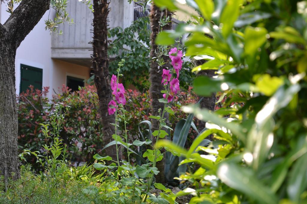 B&B Garda 4U Desenzano del Garda Eksteriør billede